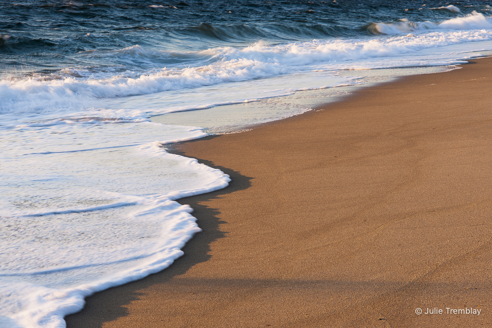 Most Popular/ stock items Foam