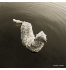 Most Popular/ stock items Phinley