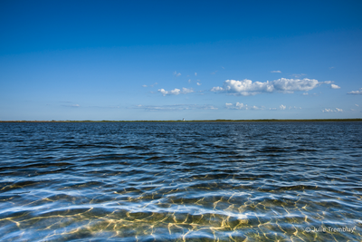 Water Patterns