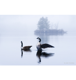 Most Popular/ stock items Geese