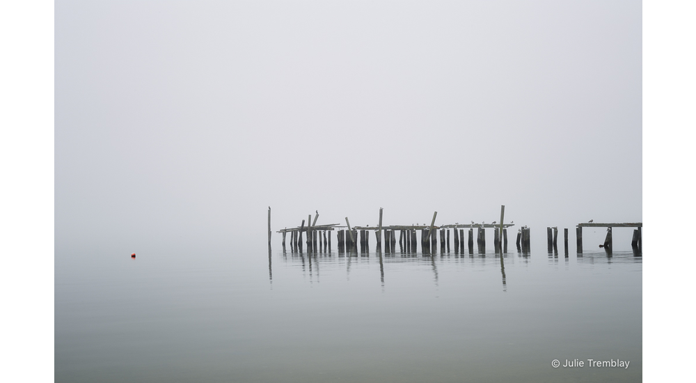 Most Popular/ stock items Pilings/Limited Edition/100