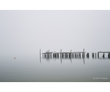 Most Popular/ stock items Pilings/Limited Edition/100