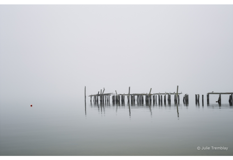 Most Popular/ stock items Pilings/Limited Edition/100