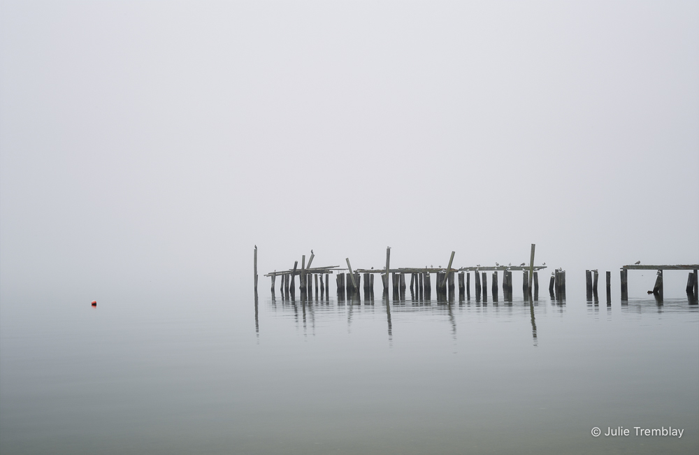 Most Popular/ stock items Pilings