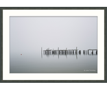 Most Popular/ stock items Pilings/Limited Edition/100