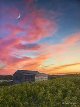 Watson Sunset