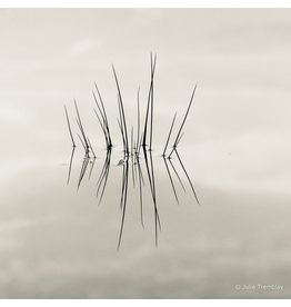 Most Popular/ stock items Grass Water