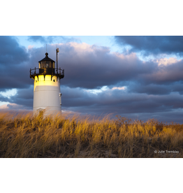 Most Popular/ stock items Race Point Light