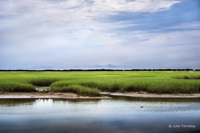 Green Marsh
