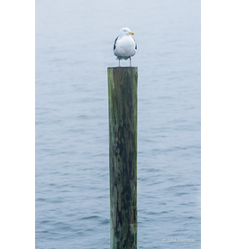 Most Popular/ stock items Gull Post