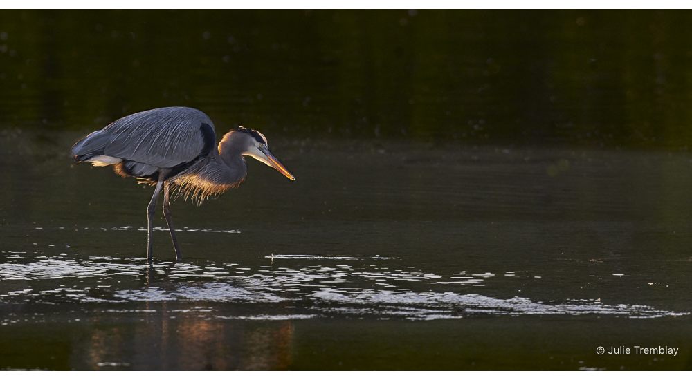 Most Popular/ stock items Backlit/Limited Edition/50