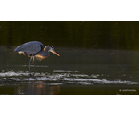 Most Popular/ stock items Backlit/Limited Edition/50