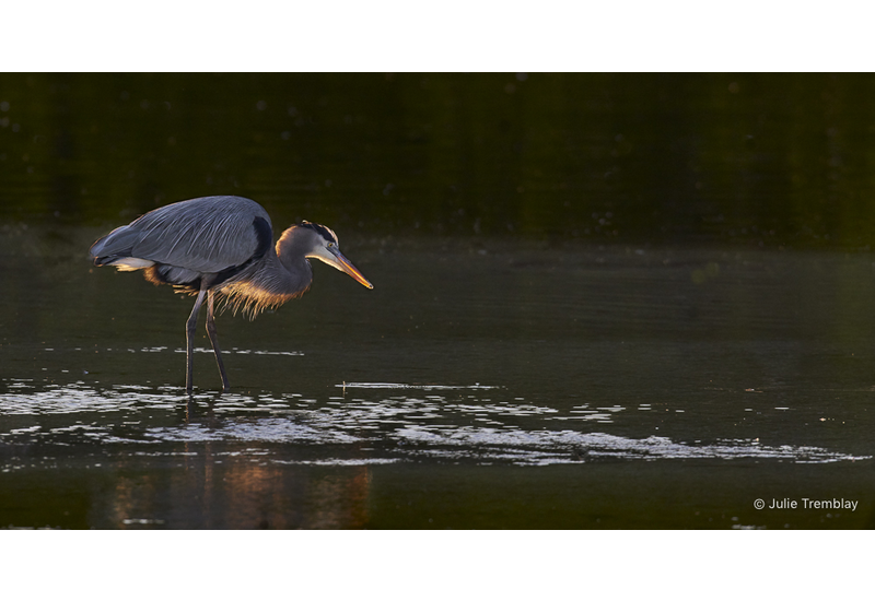 Most Popular/ stock items Backlit/Limited Edition/50