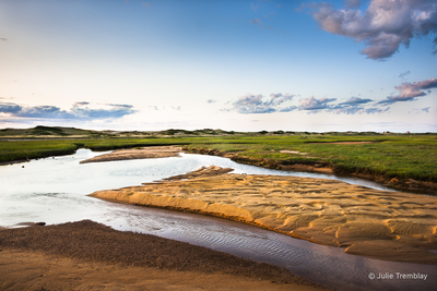 Hatches Harbor