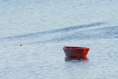 Skiff