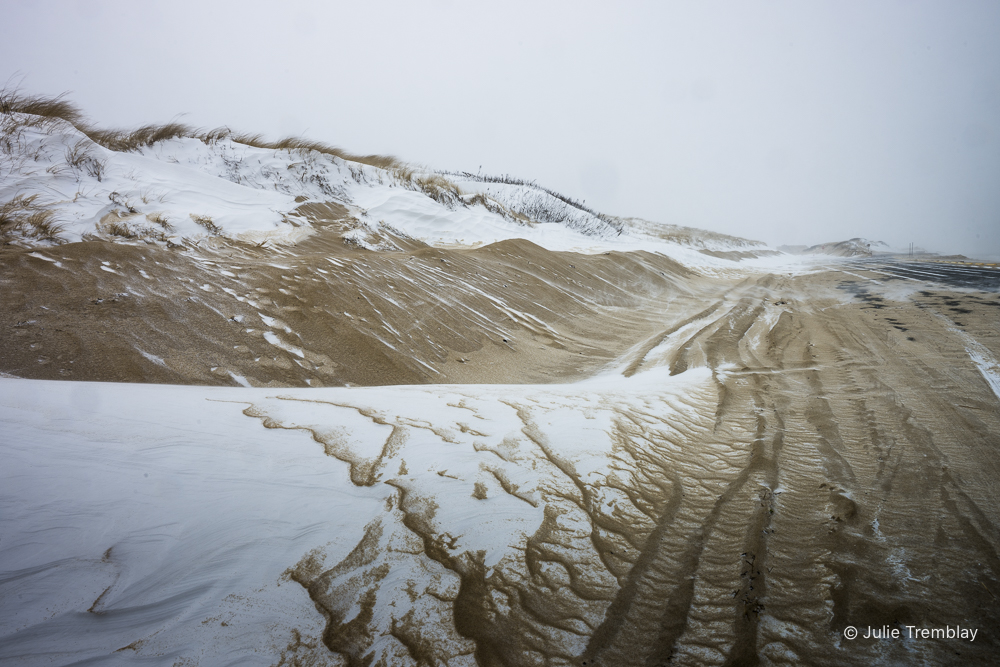Herring Cove Blizzard