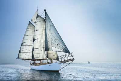 Regatta 1