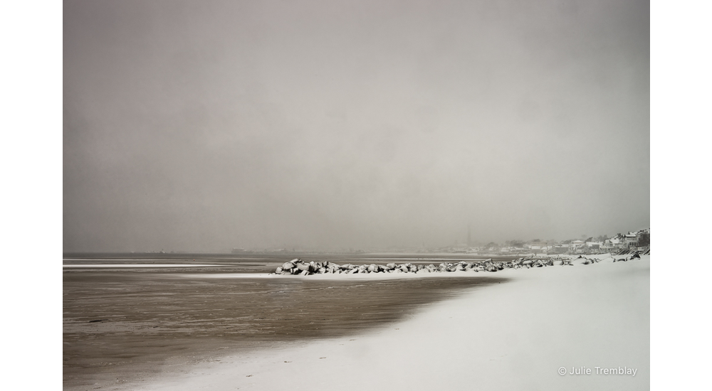 Winter Shoreline