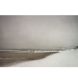 Winter Shoreline