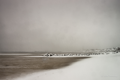 Winter Shoreline