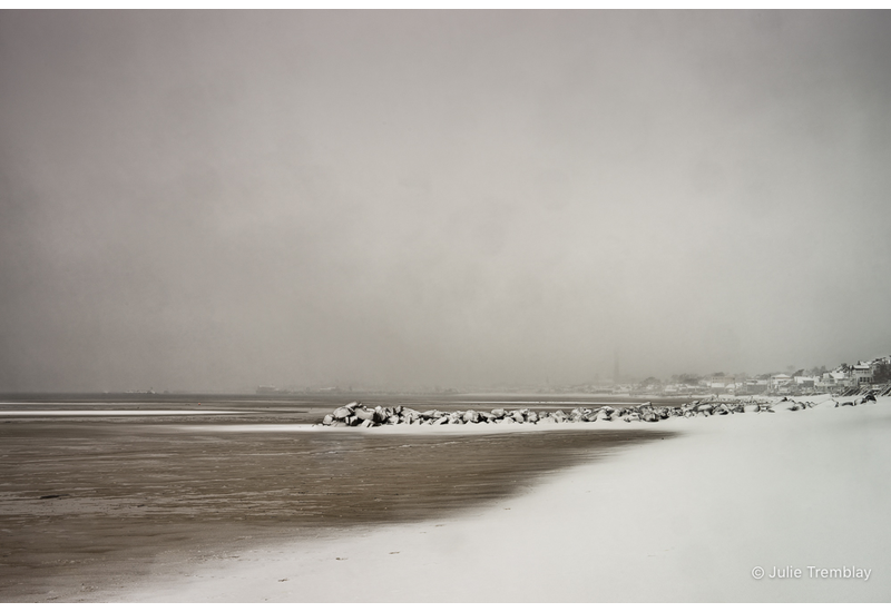 Winter Shoreline