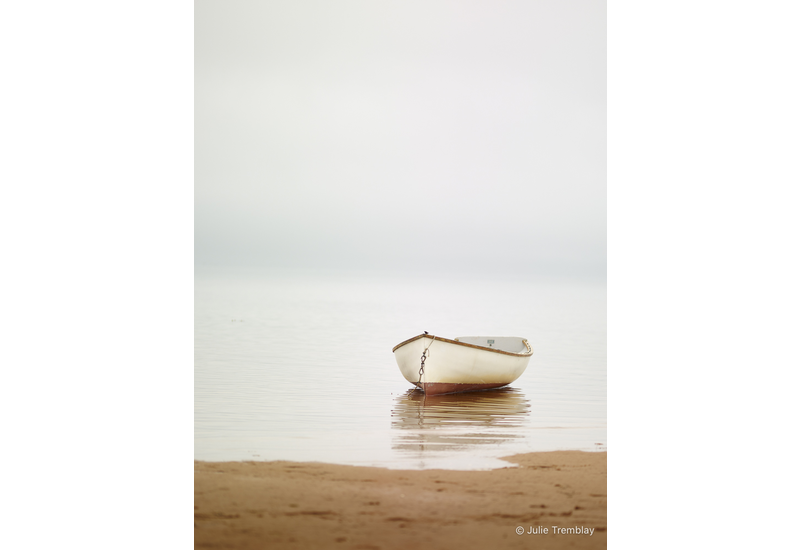 Most Popular/ stock items Cape Dame 2 /Limited Edition/250