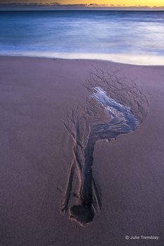 Sand Impression