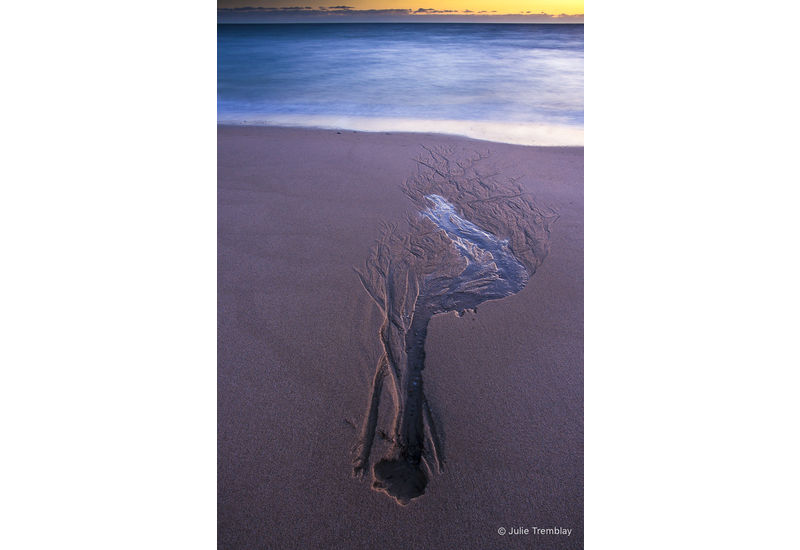 Sand Impression