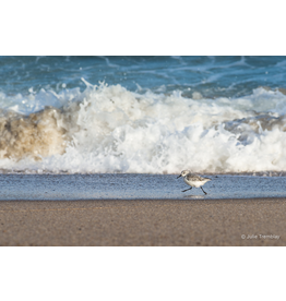 Most Popular/ stock items Sanderling