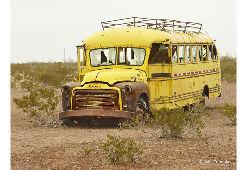 Most Popular/ stock items Yellow Bus
