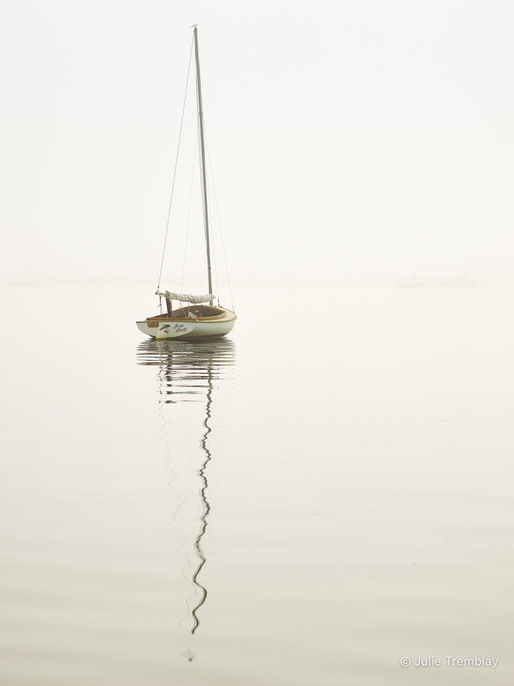 Most Popular/ stock items Just Swell