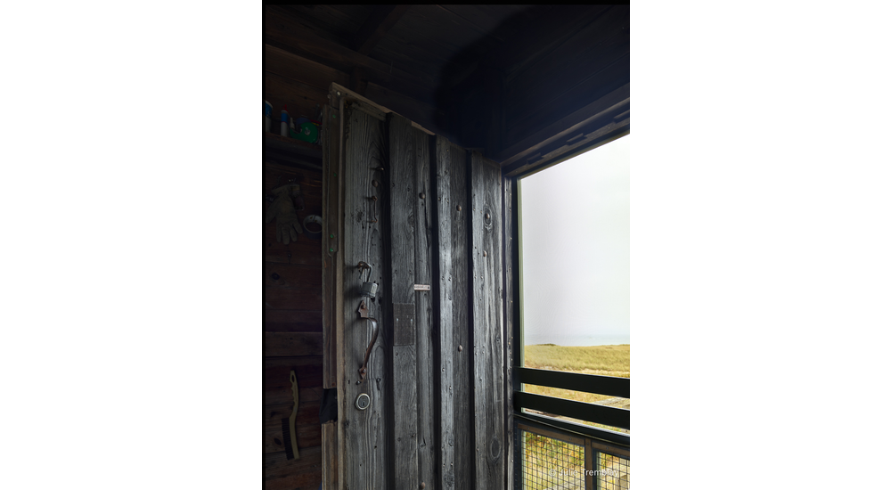 Door /Limited Edition/50