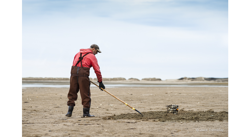 Clam Digger 2