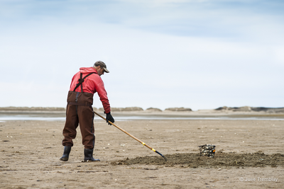 Clam Digger 2