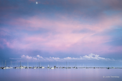 Cotton Candy Harbor