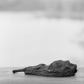 Deflated Pear