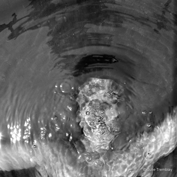 Self Water