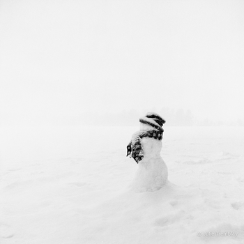 Snowman