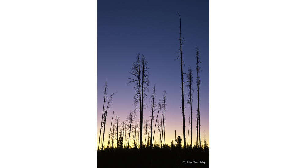 Dusk