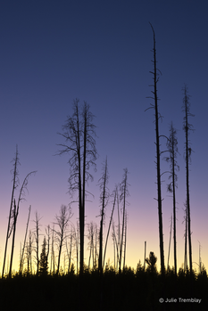 Dusk