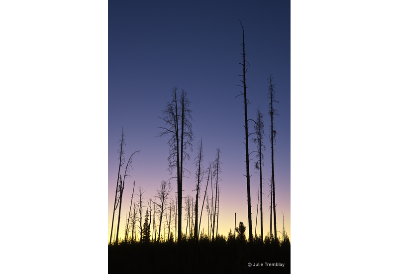 Dusk