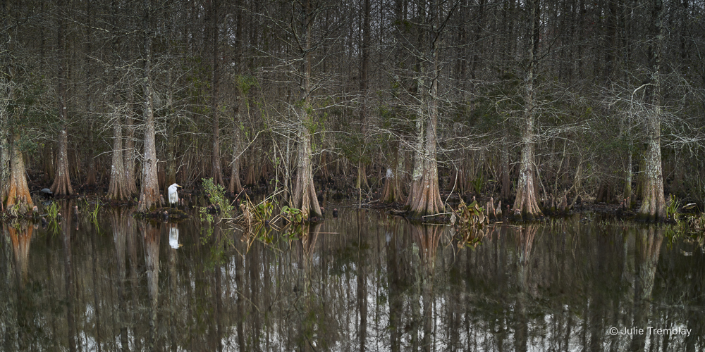 Most Popular/ stock items Egret