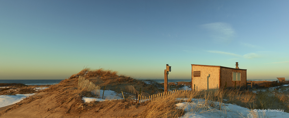 Most Popular/ stock items Euphoria