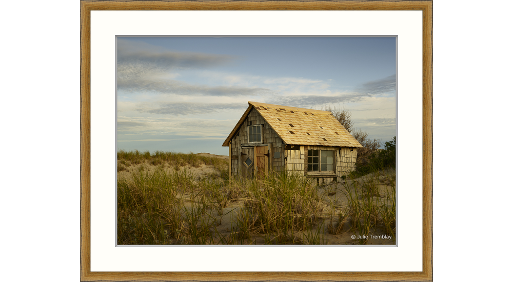 Most Popular/ stock items Tasha Dune Shack