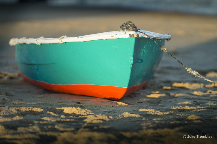 Most Popular/ stock items Teeny Tiny Boat