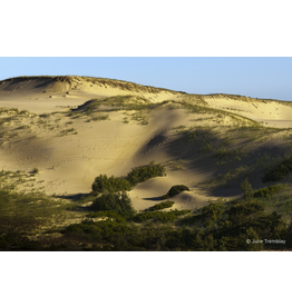 Most Popular/ stock items Morning Dunes