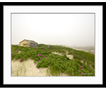 Thalassa Roses Fog