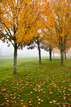 Fall