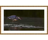 Most Popular/ stock items Backlit/Limited Edition/50