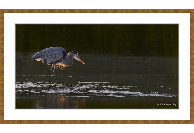 Most Popular/ stock items Backlit/Limited Edition/50